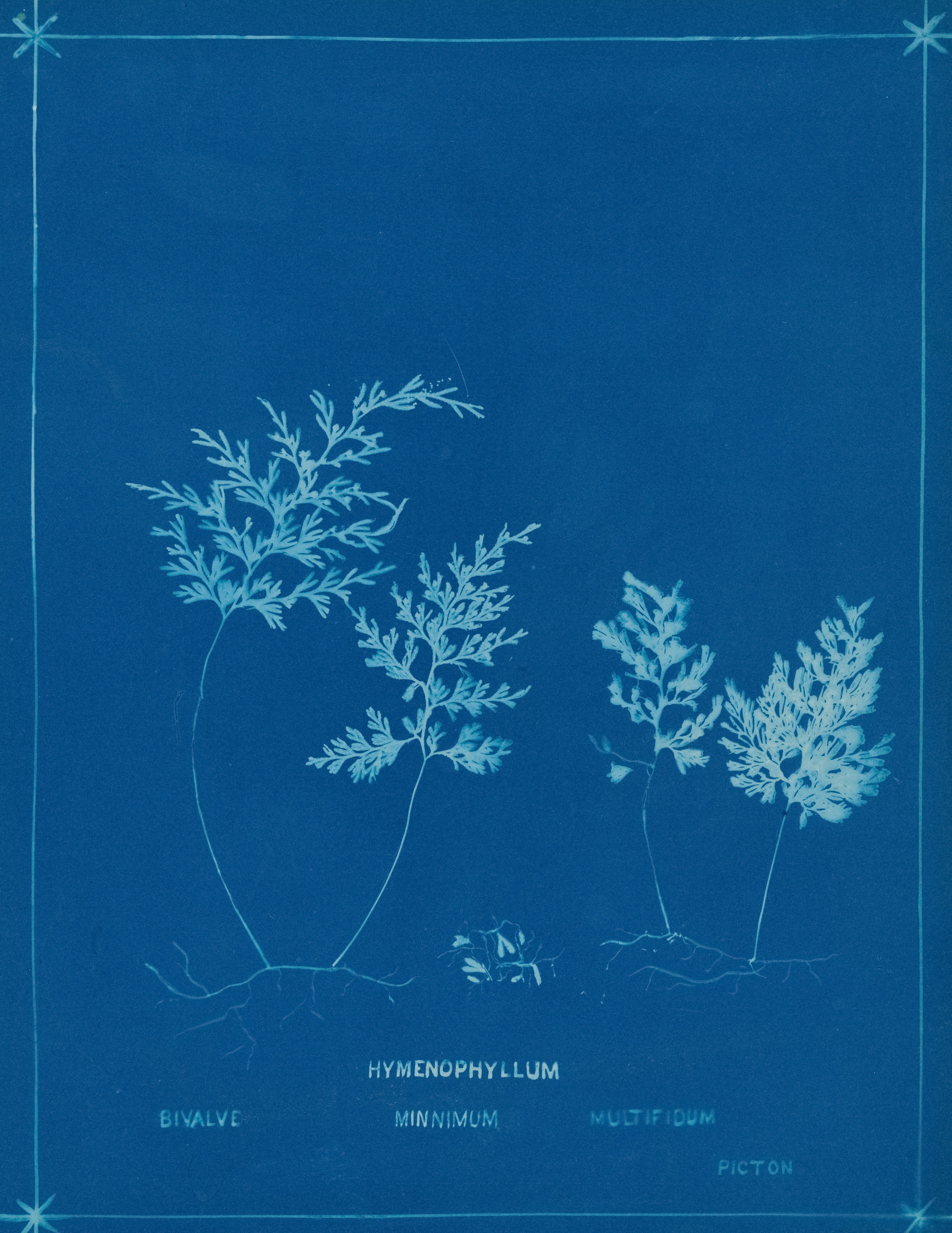 Cover of The Little Inventor